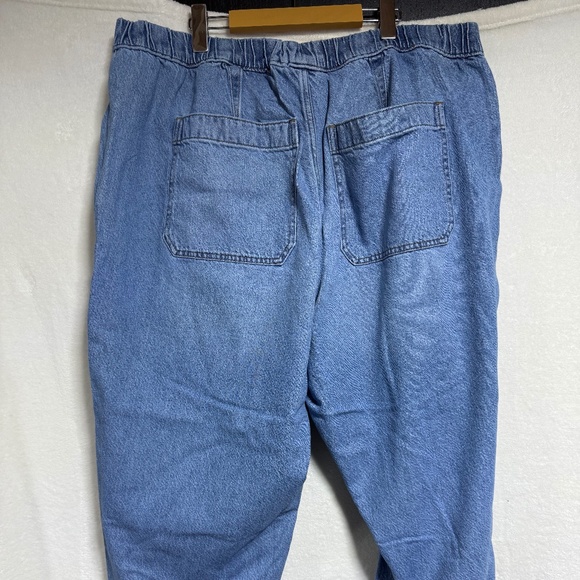 Madewell Women's Jeans 3X Pull-On Relaxed Beswick - Elastic Waist - Picture 4 of 9